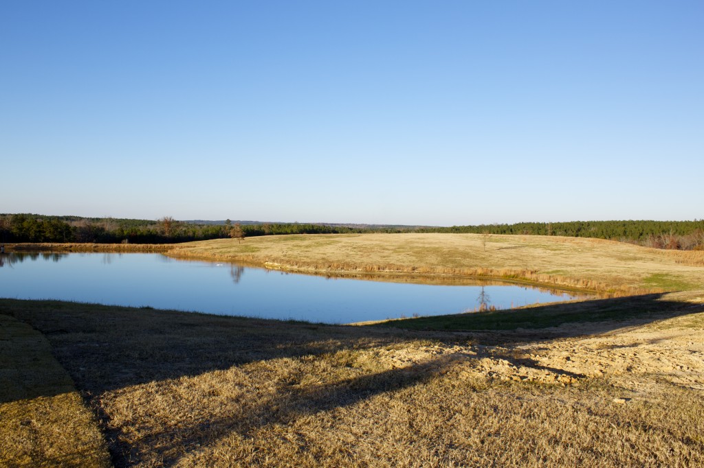 pond-at-farm-1024×682